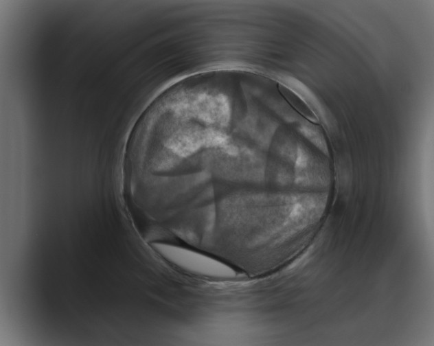 X0000088481244200706191401