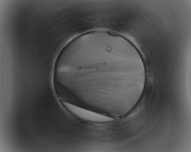 X0000088481245200706191401