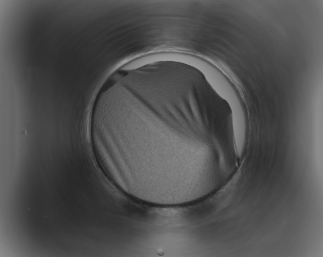 X0000088481246200706191401