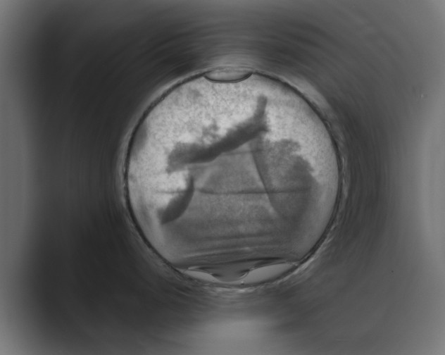 X0000088481248200706191401