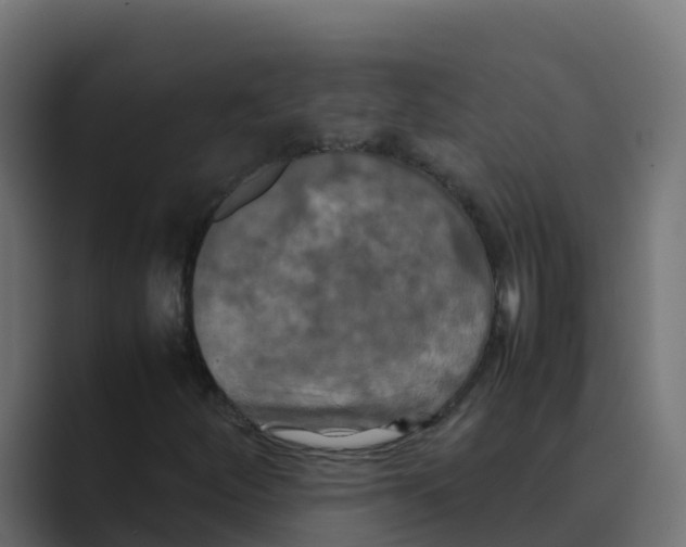 X0000088481252200706191400