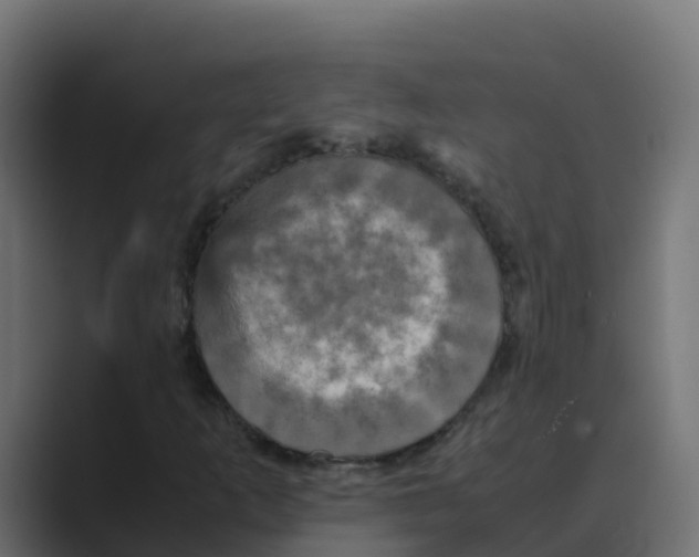 X0000088481253200706191400