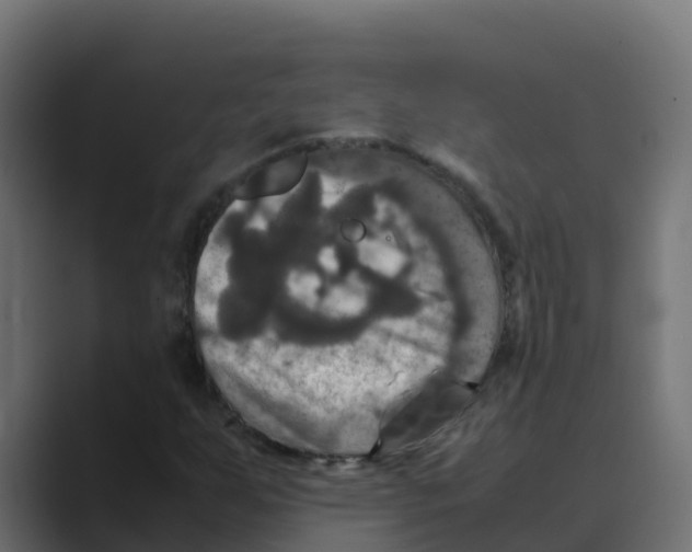 X0000088481255200706191400