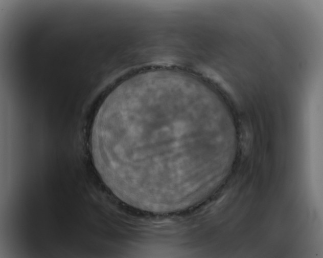 X0000088481256200706191400