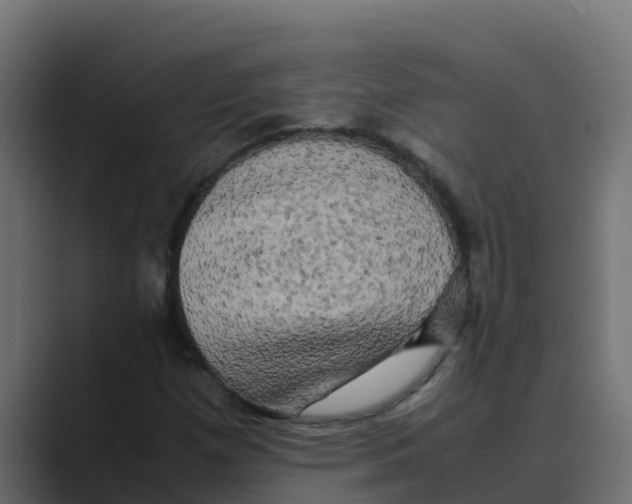 X0000088481257200706191400