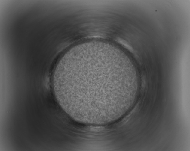 X0000088481258200706191400