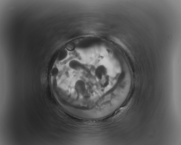 X0000088481259200706191400