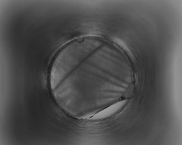 X0000088481260200706191400