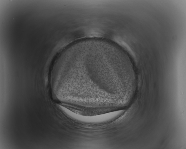 X0000088481261200706191400