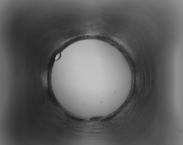 X0000088481262200706191400