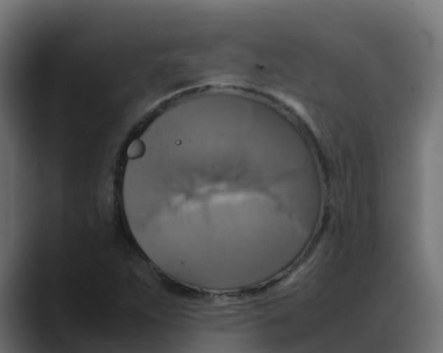 X0000088481263200706191400