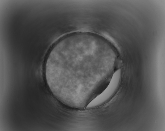 X0000088481264200706191400