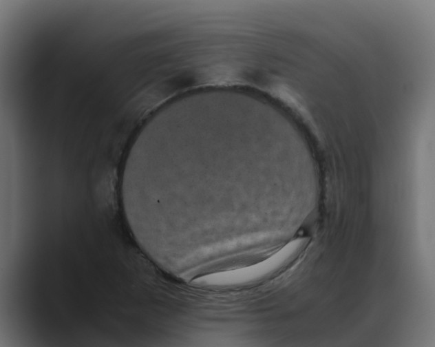 X0000088481265200706191400