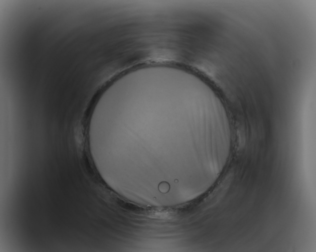 X0000088481266200706191400