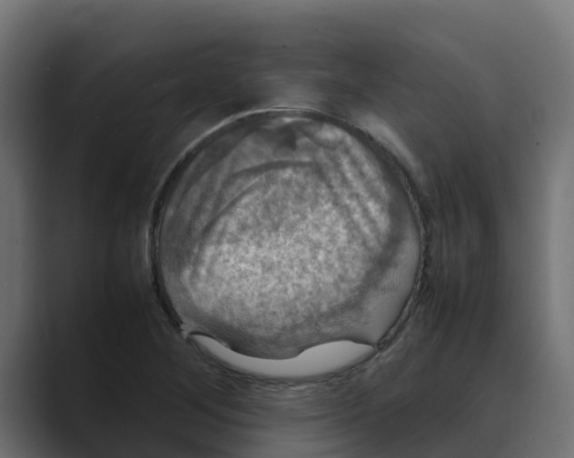 X0000088481268200706191400