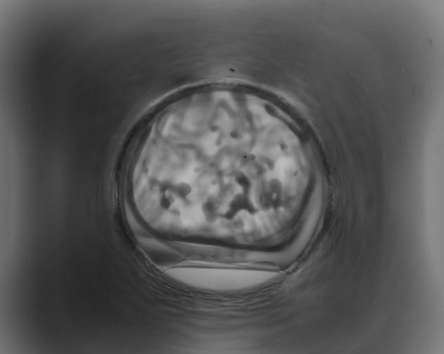 X0000088481271200706191400