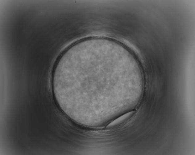 X0000088481272200706191400