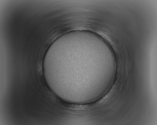 X0000088481273200706191400