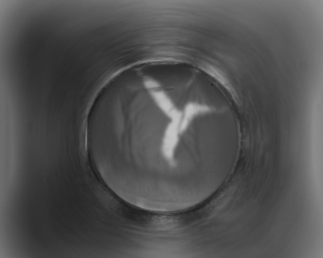 X0000088481275200706191400