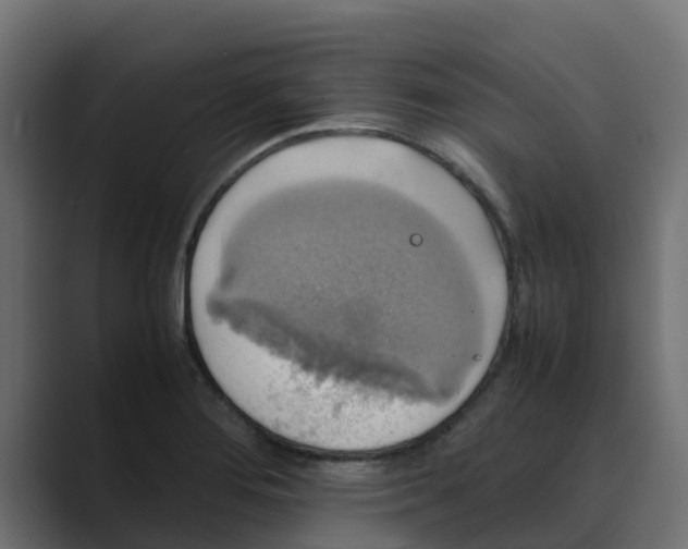 X0000088481276200706191400