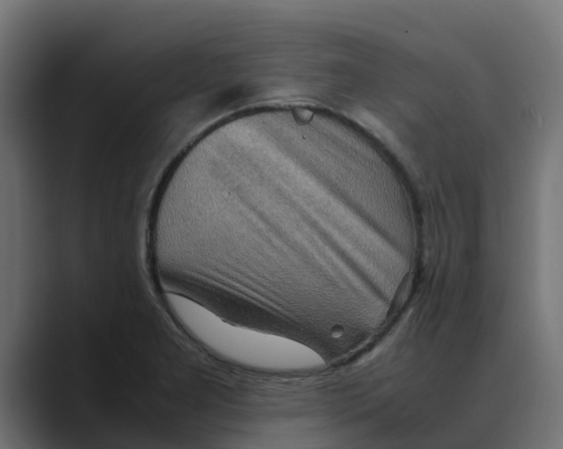 X0000088481277200706191400