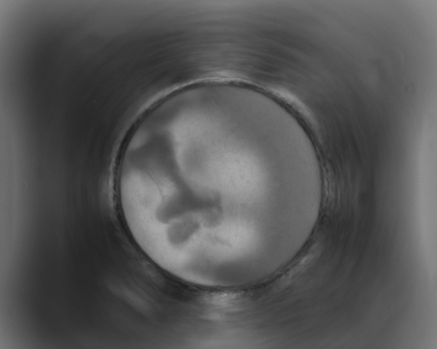 X0000088481278200706191400