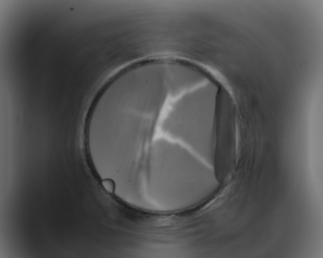 X0000088481279200706191400