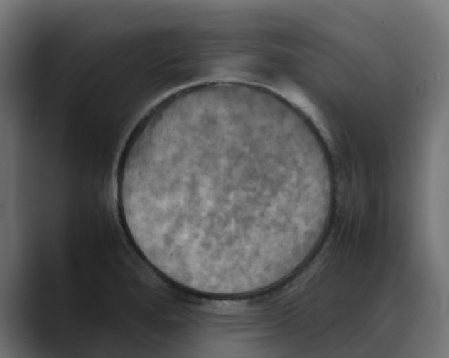 X0000088481280200706191400