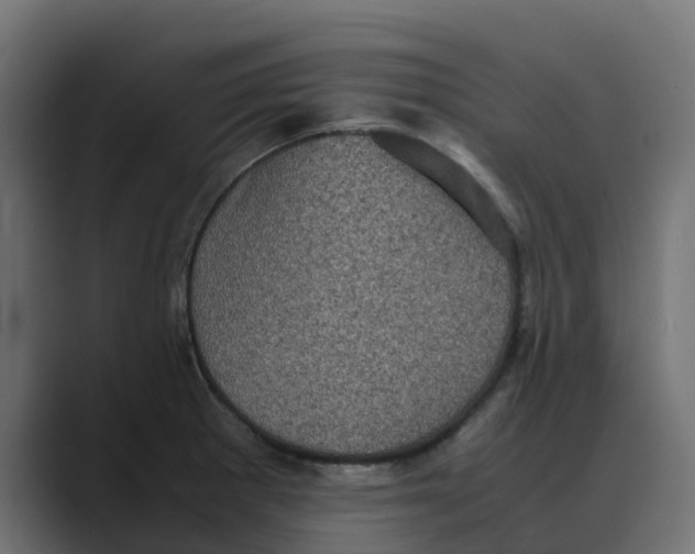 X0000088481281200706191400