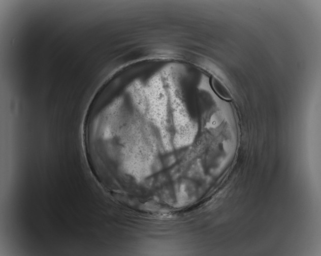 X0000088481283200706191400