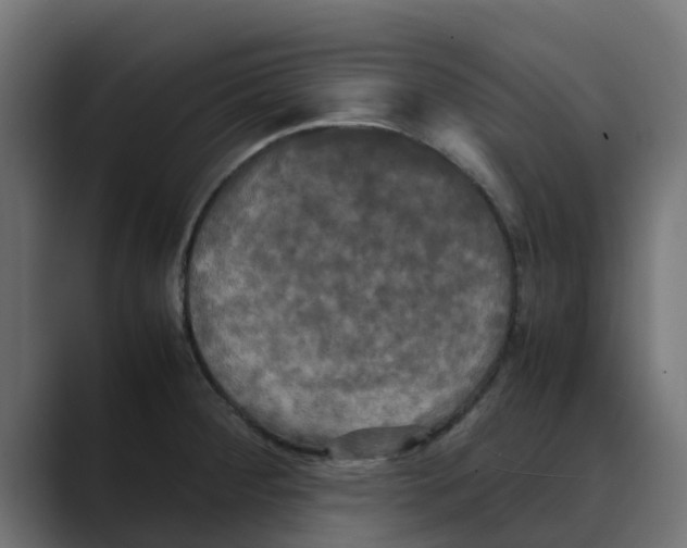 X0000088481284200706191400