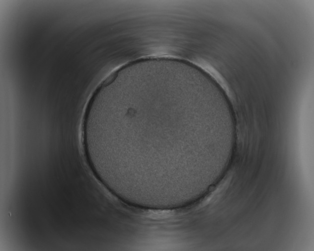 X0000088481285200706191400