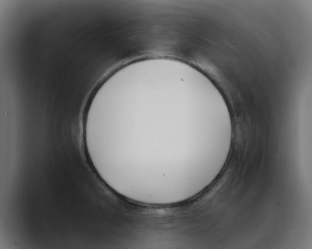 X0000088481286200706191400