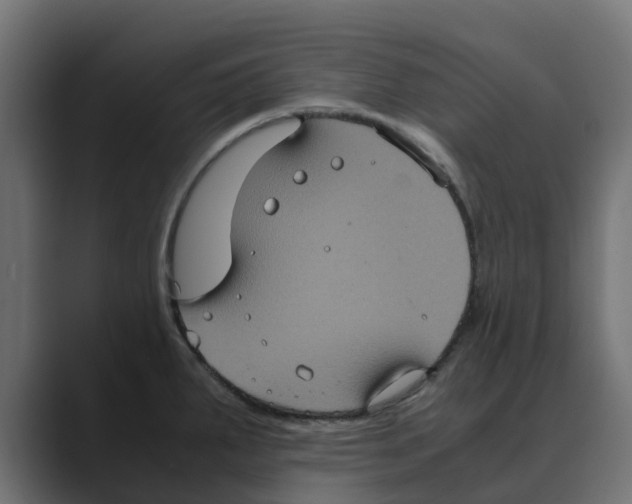 X0000088481287200706191400