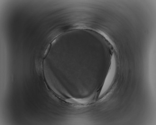 X0000088481289200706191400