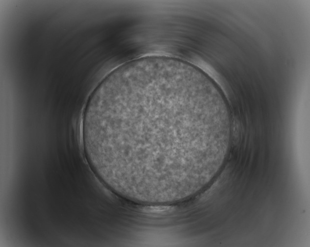 X0000088481290200706191400