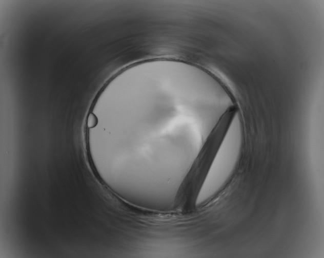 X0000088481291200706191400