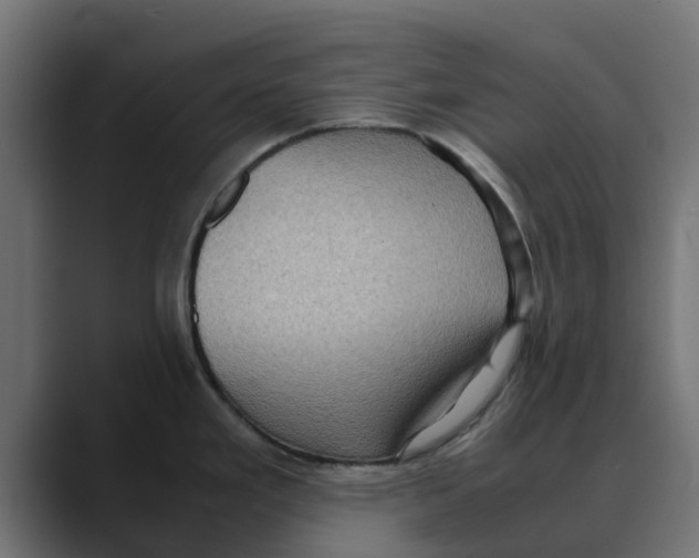 X0000088481293200706191400