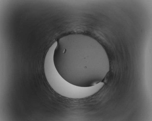 X0000088481298200706191359