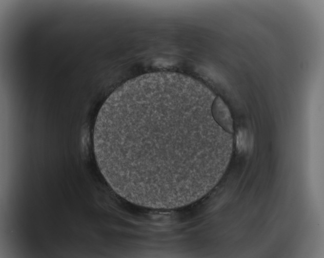 X0000088481299200706191359