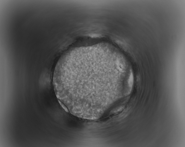 X0000088481300200706191359