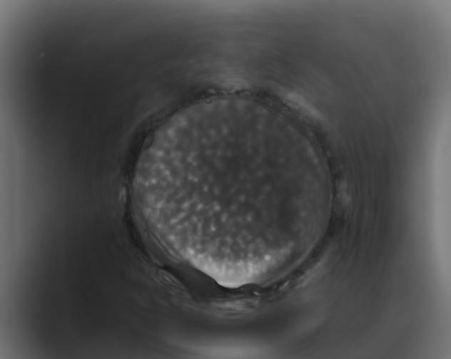 X0000088481302200706191359