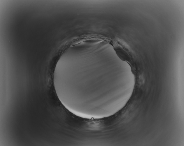 X0000088481303200706191359