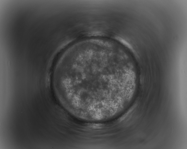 X0000088481309200706191359