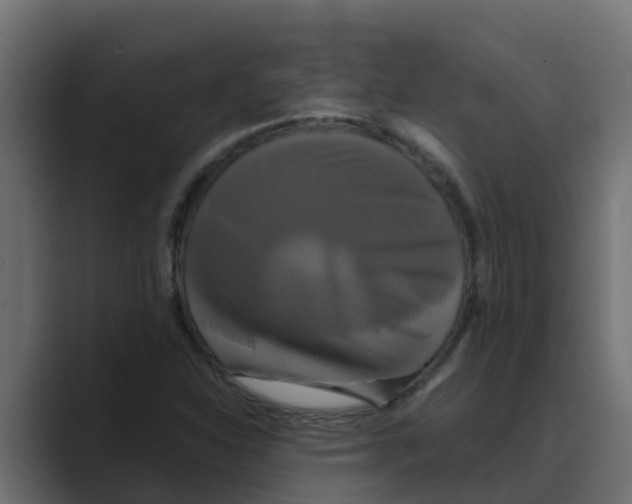 X0000088481310200706191359