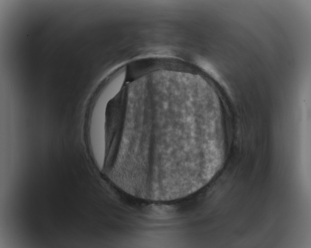 X0000088481312200706191359