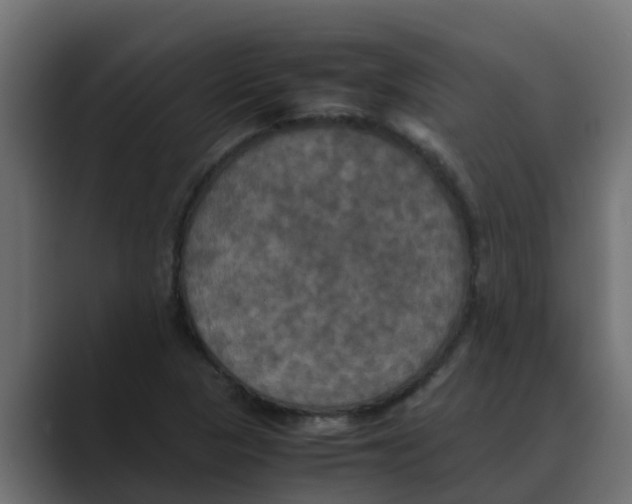 X0000088481313200706191359