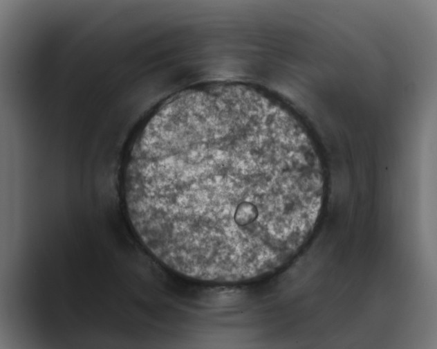 X0000088481314200706191359