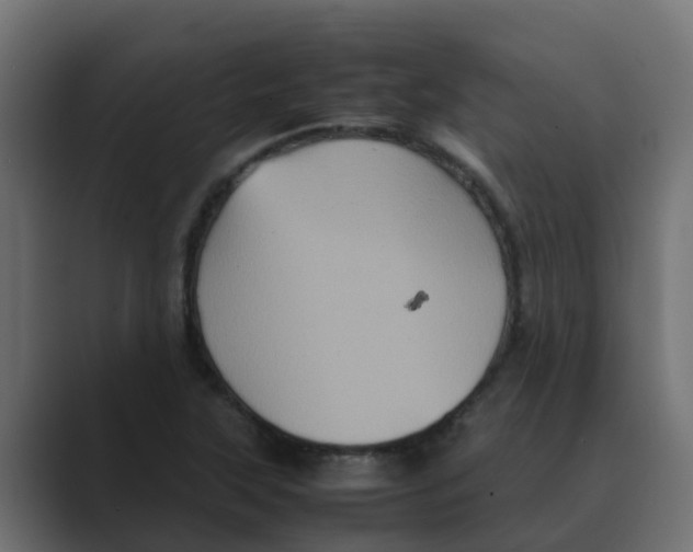 X0000088481315200706191359