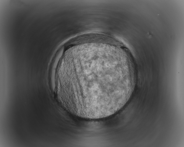 X0000088481316200706191359